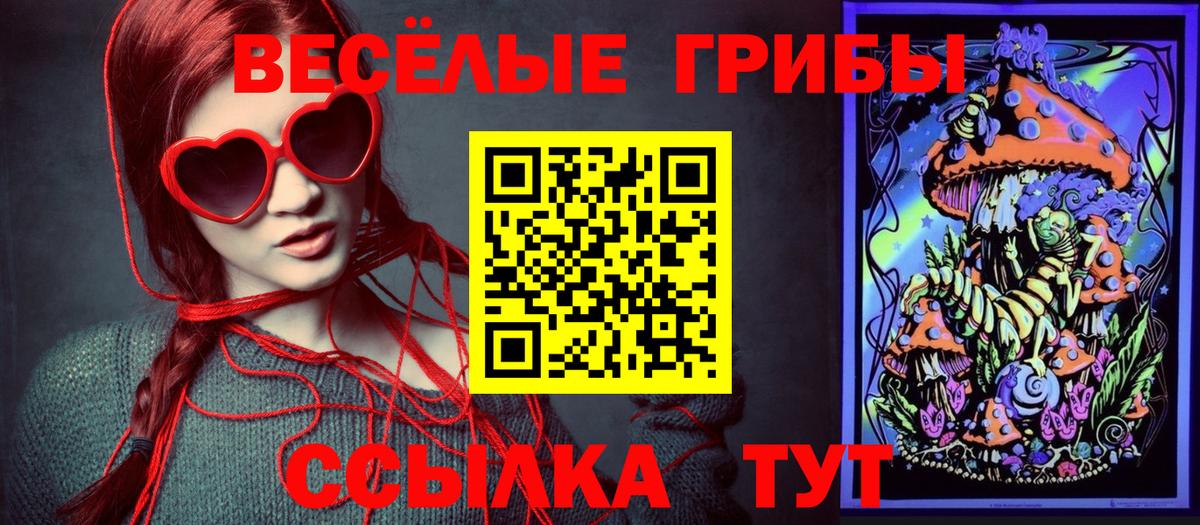 Псилоцибиновые грибы GOLDEN TEACHER  Псилоцибиновые грибы Psilocybe  Вход с VPN  Выкса 