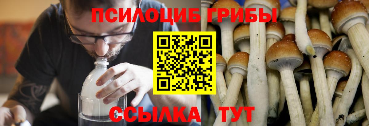 Псилоцибиновые грибы Magic Shrooms Выкса